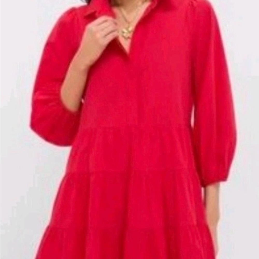 Pomander Place Hibiscus Red Shirt Mini Dress